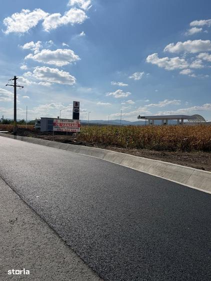 Teren de 10000 mp, în Nicolae Bălcescu