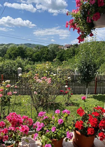Casă cu 4 camere cu Teren 1670 Mp în Central