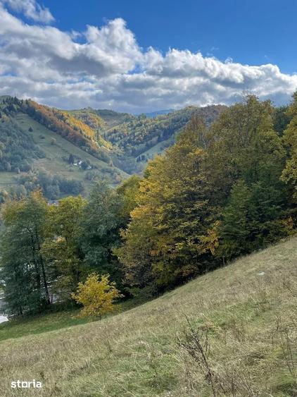 Teren extravilan cu priveliste catre Bucegi Moieciu de Jos 4.700 mp - 17