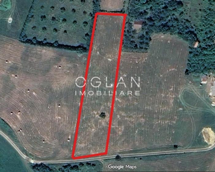 Teren Construcții intravilan de 3500 mp, în Turnișor