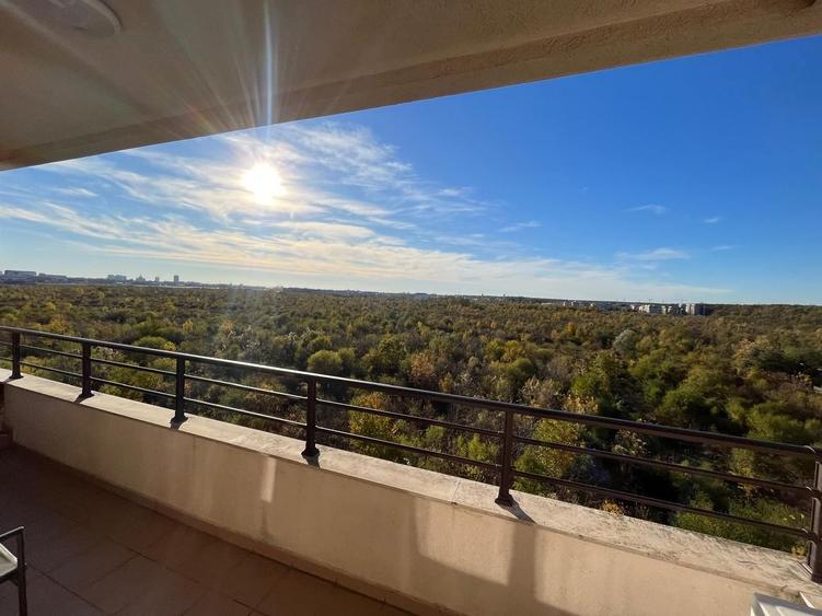 Apartament cu 2 camere, mobilat în Iancu Nicolae