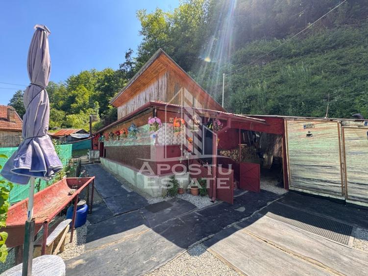 Casă individuală cu 2 camere cu Canalizare în Crișcior