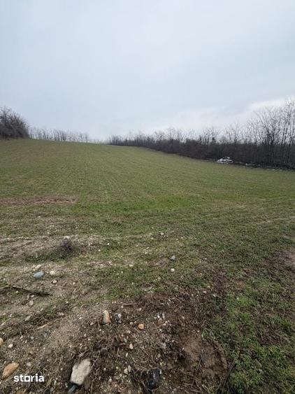 Teren de 6700 mp, în Central