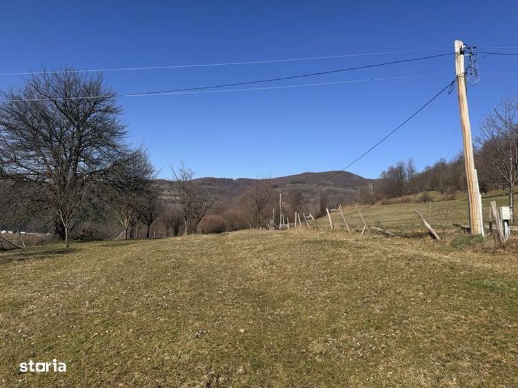 Teren de 3020 mp, în Negreni