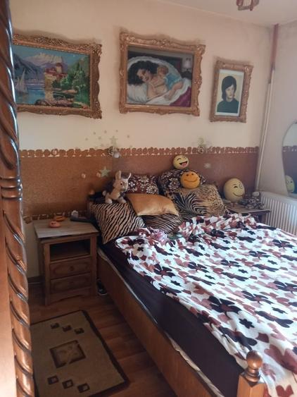 Apartament cu 2 camere decomandat în Nufărul