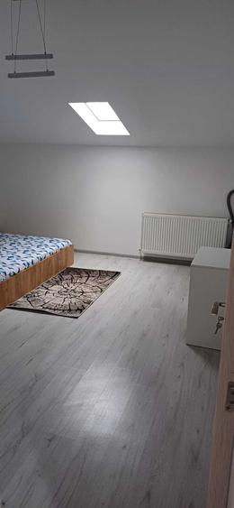 Inchiriez ap 2 camere sec 3 Bucutesti - 7