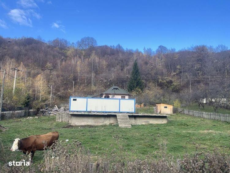 Teren Valea Doftanei / Baraj Paltinu / Sat Seciuri - 1