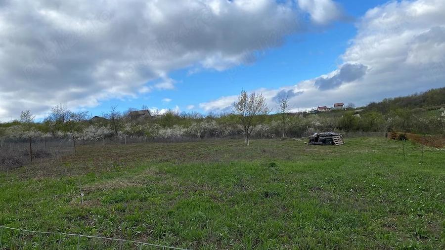 Teren extravilan (2025 PUZ intravilan) 2500 mp parcelabil, Hlincea- Juvat, 35euro mp, drum asfaltat - 2