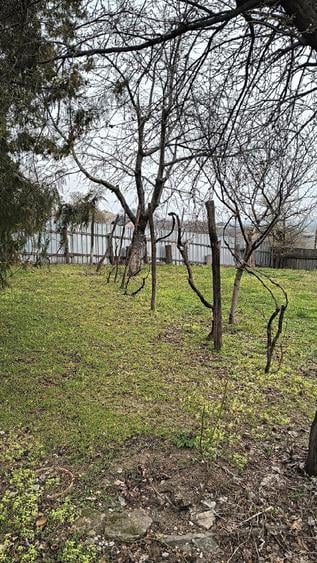 Casă cu Teren 2100 Mp în Aldești