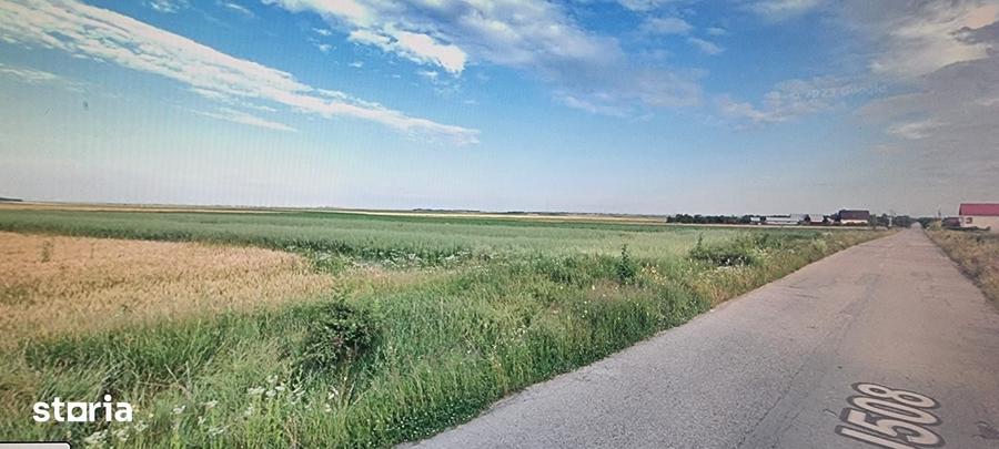Teren de 10000 mp, în Rătești
