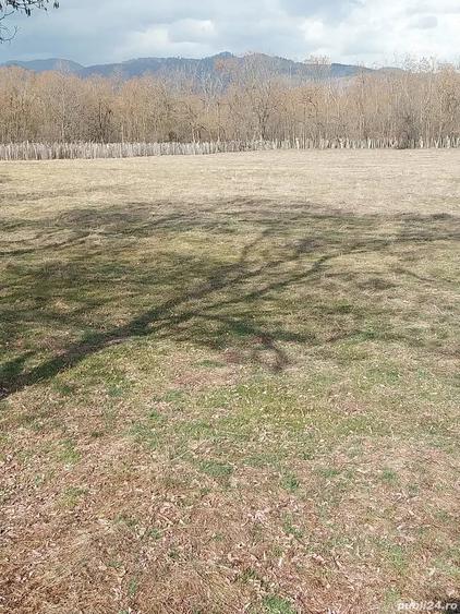 Teren de 2500 mp, în Polovragi