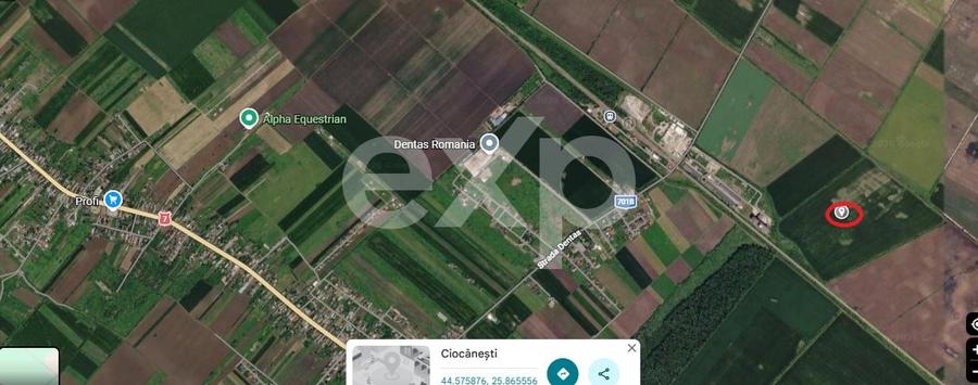 Teren agricol de 175315 mp, în Crevedia