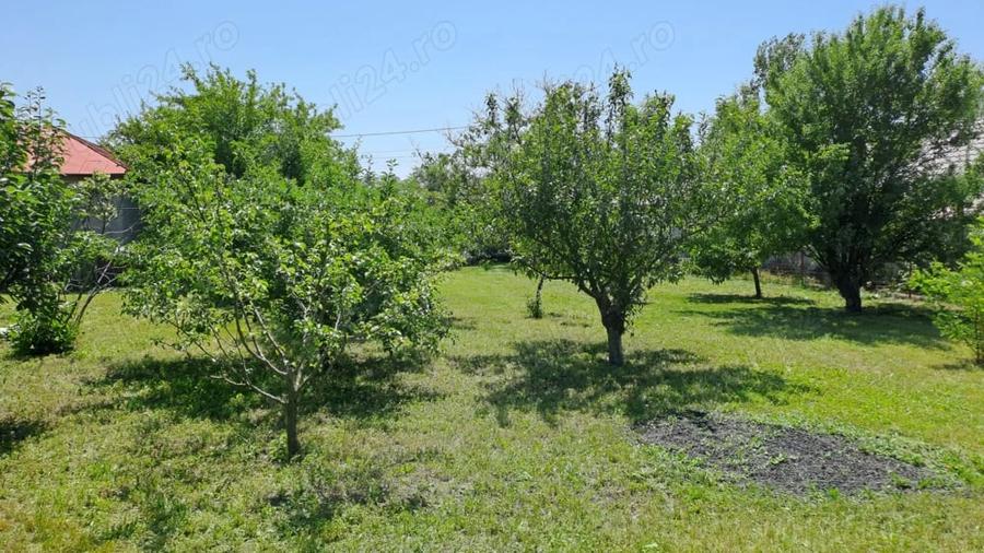 Casă cu 5 camere cu Teren 1375 Mp în Frumușani