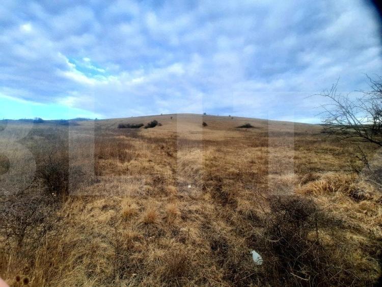 Teren Construcții intravilan de 2900 mp, în Sopor