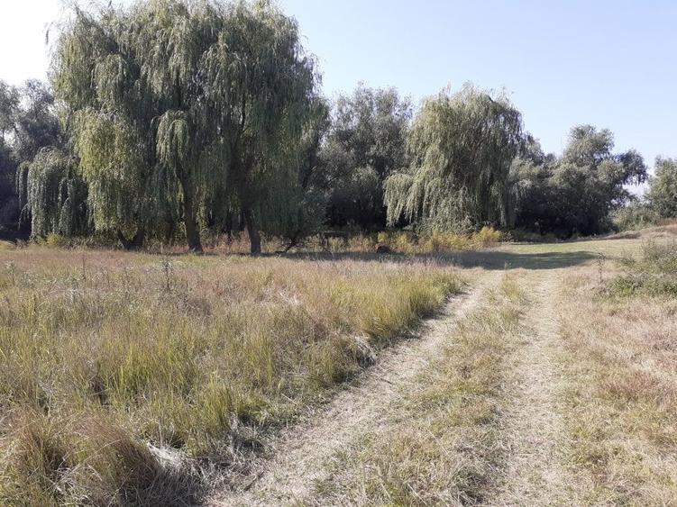 Teren Construcții intravilan de 3269 mp, în Central