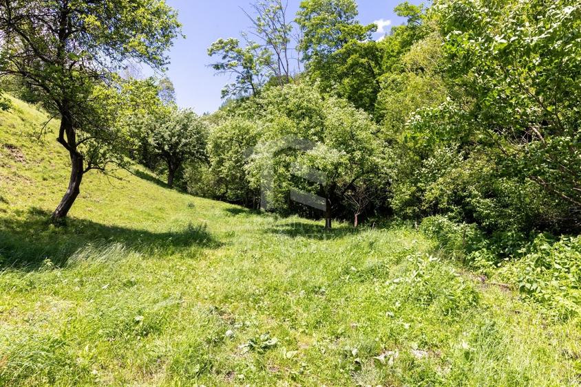 Teren Construcții intravilan de 11381 mp, în Moieciu