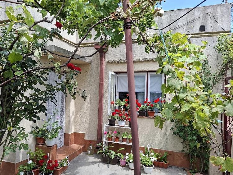 Casa de vanzare Faleza nord - 2