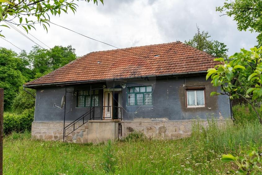 Casă individuală cu 6 camere cu Teren 2143 Mp în Crișan
