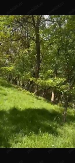 Teren de 2050 mp, în Bărbătești