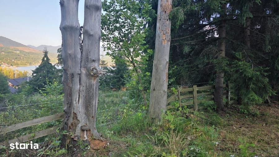 Teren de 5100 mp, în Faraoani