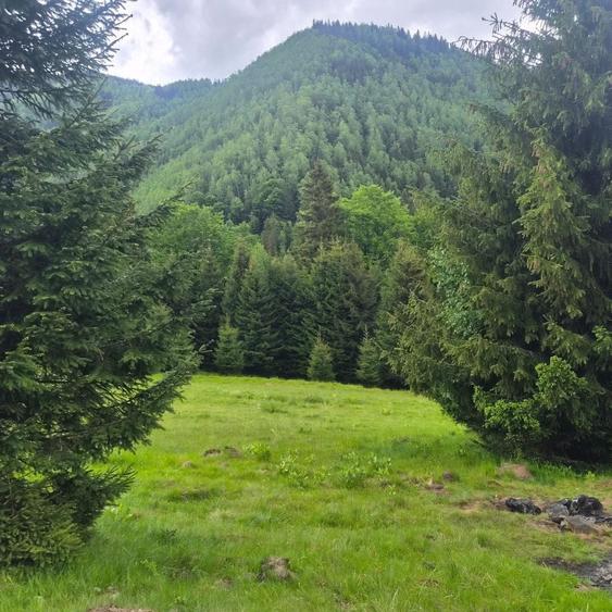 Teren de 300 mp, în Brădățel