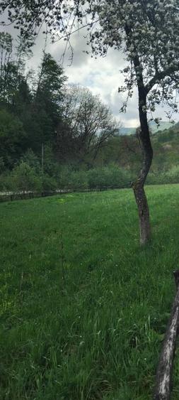 Teren de 1727 mp, în Stănija