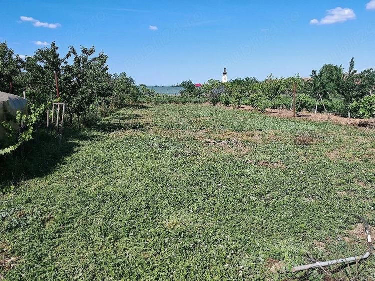 Casă cu 3 camere cu Teren 1439 Mp în Pesac