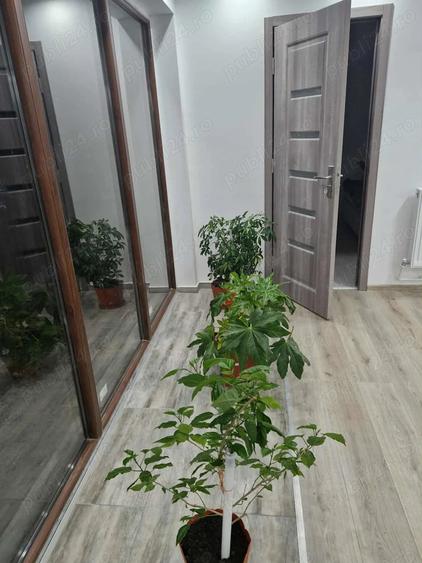 Casă cu 3 camere cu Teren 2800 Mp în Tarcea