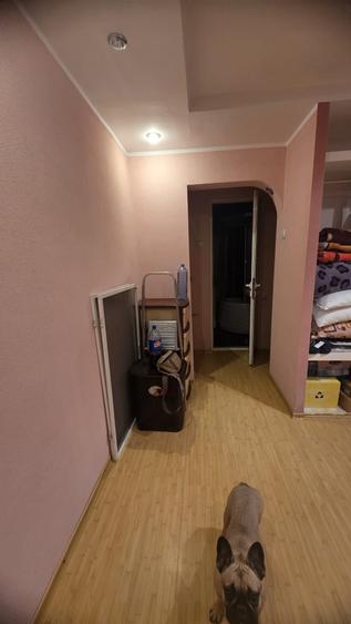 Garsonieră decomandată în Beba Veche