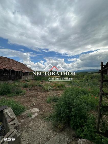 NECTORA IMOB-Casa 4 camere, 130 mp utili + 933 mp teren, Forau,Utilata - 8