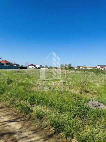 Teren de 3929 mp, în Ghiroda