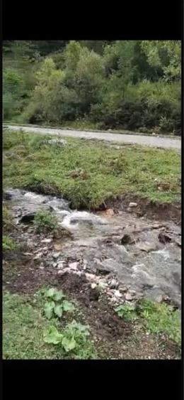 Teren Construcții intravilan de 12000 mp, în Ortoaia