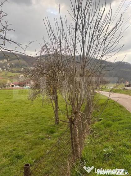 Teren în Șuncuiuș