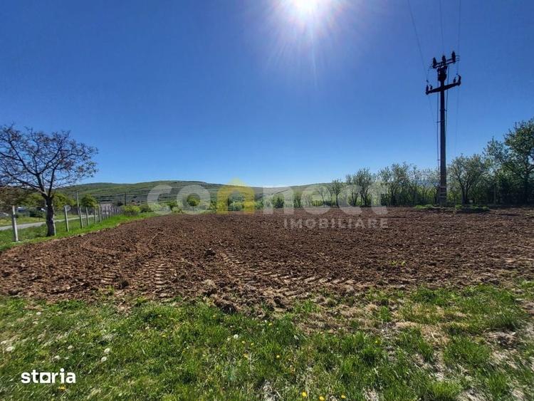 Teren intravilan de vanzare | 2942 mp | Ciurila, Cluj - 1