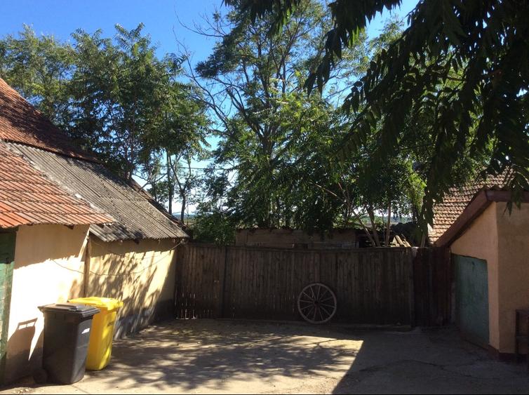 CASA IN RECAS, CENTRAL, CU TEREN MARE , DIVERSE OPORTUNITĂȚI - 11