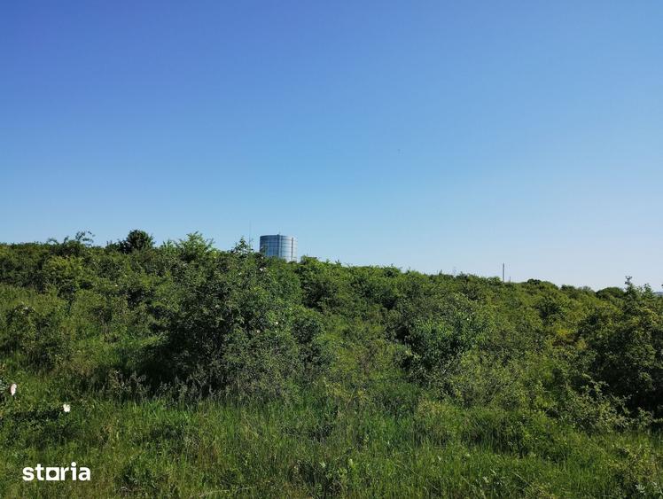 Teren de 350 mp, în Bârnova