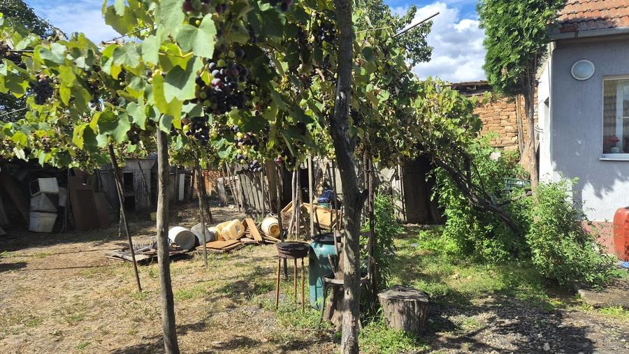 Casă cu 2 camere în Brănișca