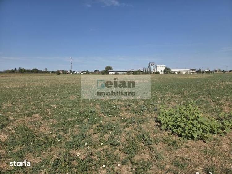 Ciolpani - Caro Events, Padure, 6800 mp, Padure, 58 ml deschidere - 3