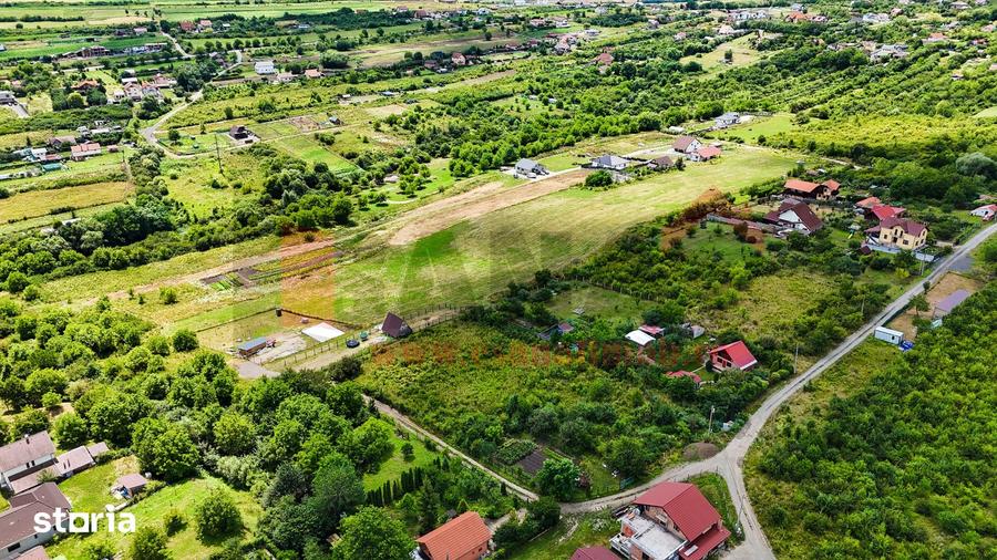 Teren 8.000 MP | Daia Noua | Intravilan | Oportunitate | SkyView - 3