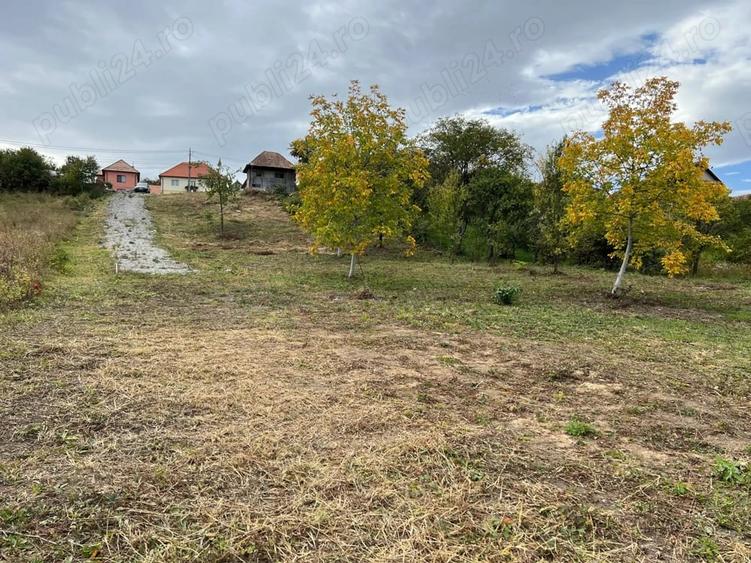 Teren de 3744 mp, în Gheorghieni