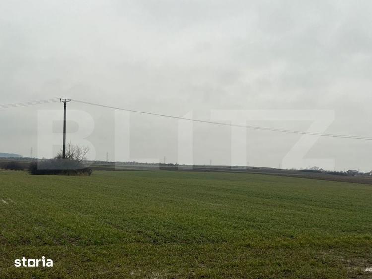 Teren de 10000 mp, în Comișani