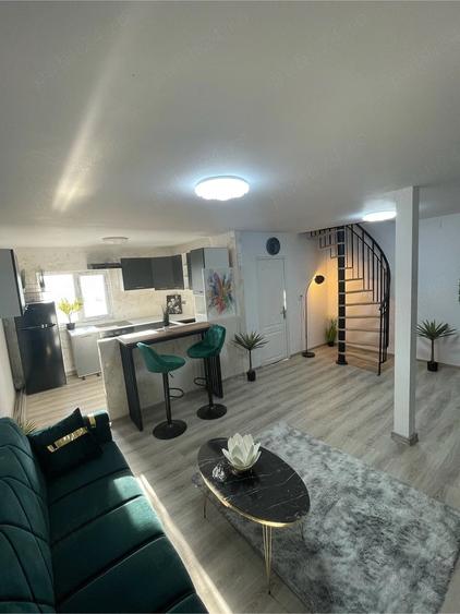 Surduc Lake house 574 - 4