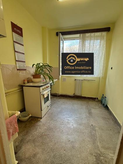 Apartament cu 2 camere semidecomandat în Săsar
