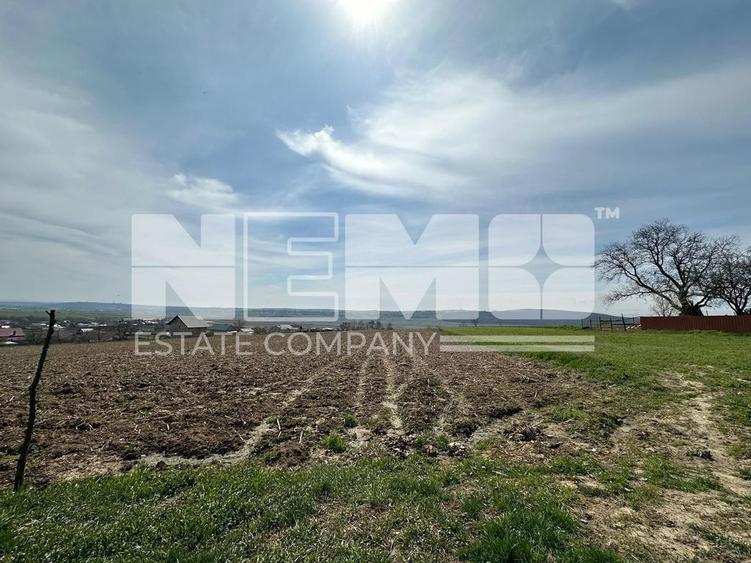 Teren de 3900 mp, în Pătrăuți