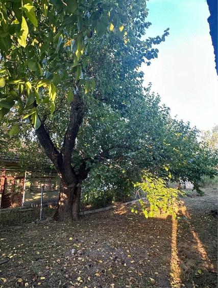 Casă cu 3 camere cu Teren 38 Mp în Sânlazăr