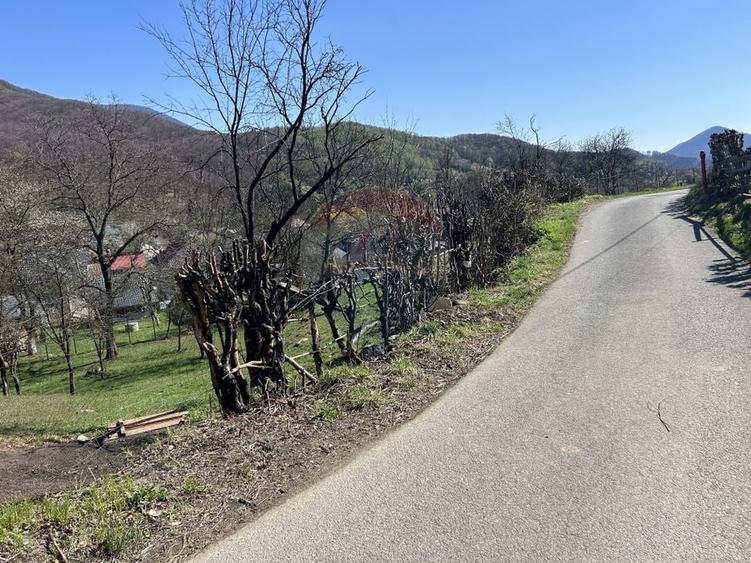 Teren Construcții intravilan de 1106 mp, în Firiza