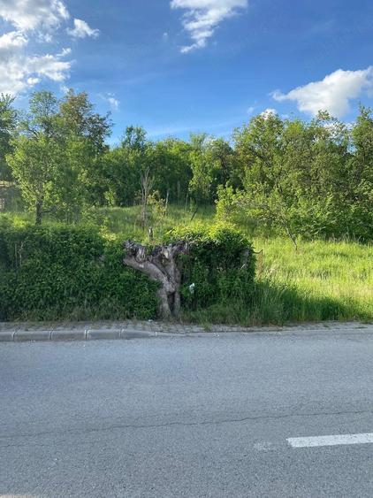 Teren de 3900 mp, în Central