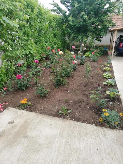 Casă cu Teren 3800 Mp în Redea