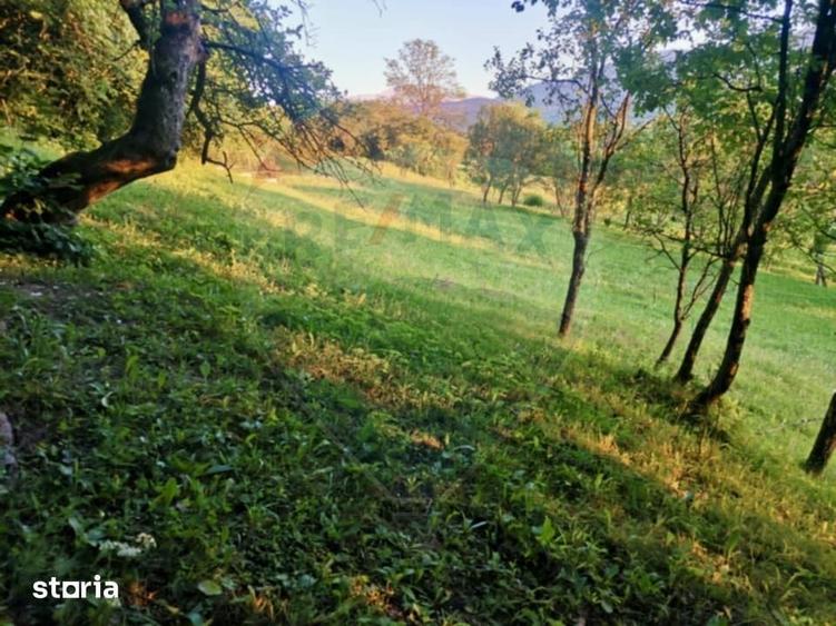 Teren de 6900 mp, în Ocna Șugatag