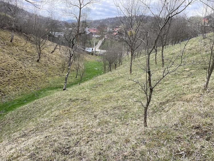 vand 2300m2 teren intravilant comuna secaria